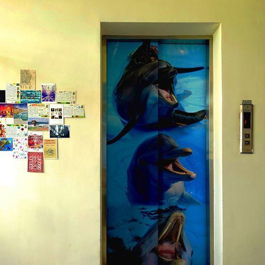 Dolphin Castle Bed & Breakfast Donggang Eksteriør bilde