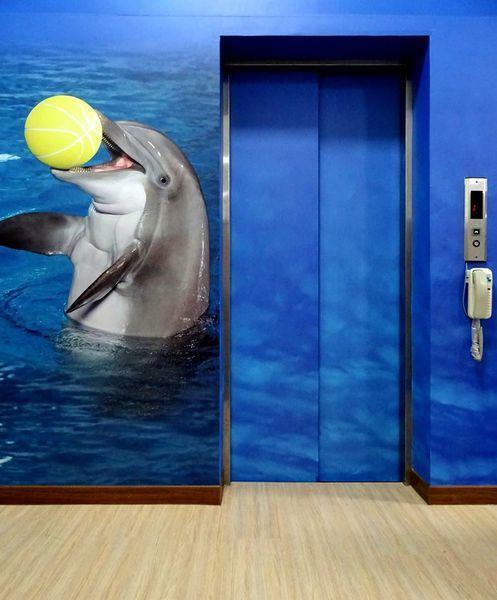 Dolphin Castle Bed & Breakfast Donggang Eksteriør bilde