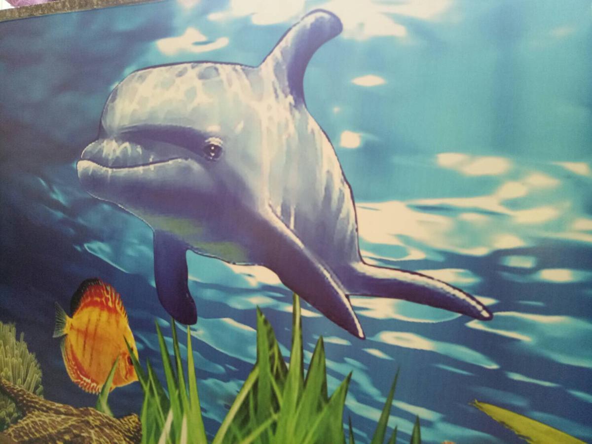 Dolphin Castle Bed & Breakfast Donggang Eksteriør bilde