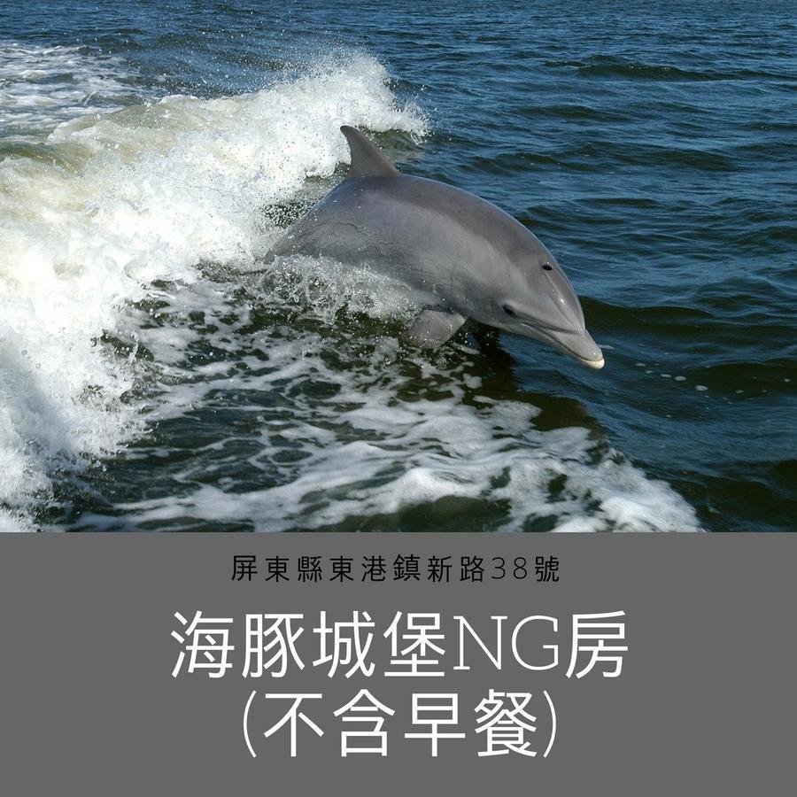 Dolphin Castle Bed & Breakfast Donggang Eksteriør bilde